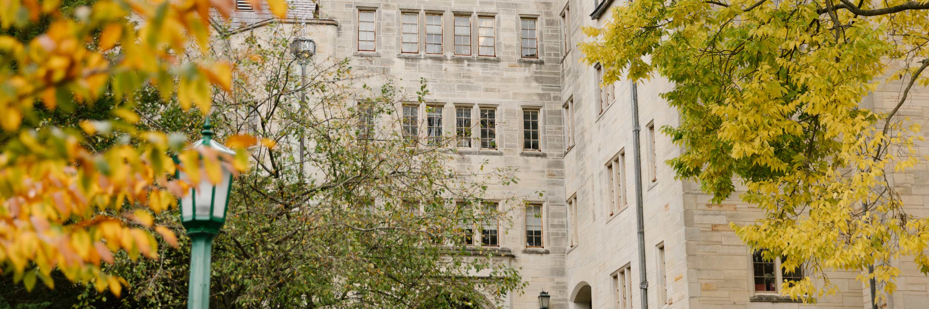 Exterior view of Sycamore Hall obscured by fall foliage. 